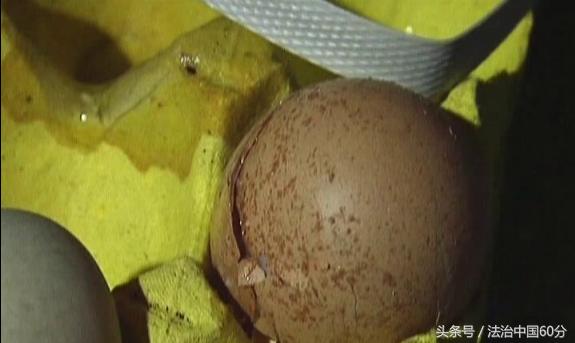 孩子误食有老鼠药的食物,全家人误食了老鼠药怎么办