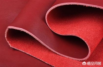 看貂皮品质,男士真假皮草如何识别