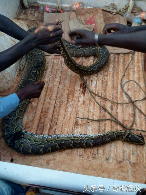 我在非洲工作的日子，给大家介绍下非洲的风土人情