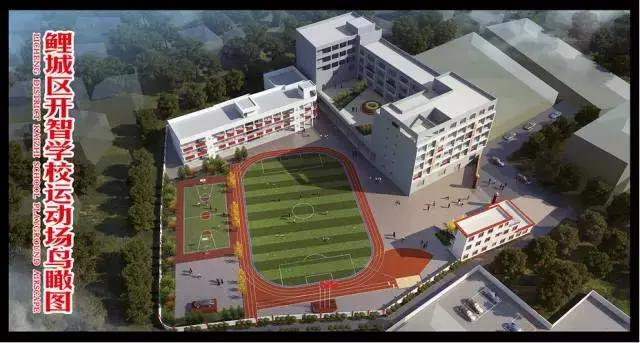 折翼天使插上希望的翅膀,鲤城区开智小学