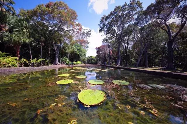 想去毛里求斯旅游的句子,中国去毛里求斯攻略