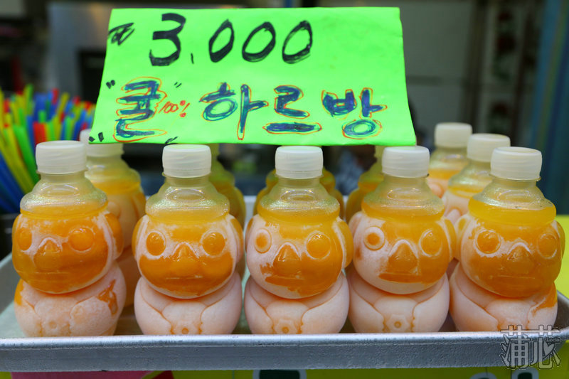 济州岛看枫叶,济州岛枫叶