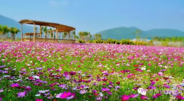 在海南享受冬天的温暖,冬天去海南旅行
