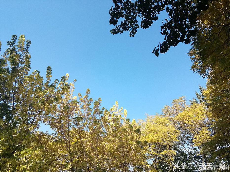 华为m3平板屏幕比例,华为青春m3平板价格