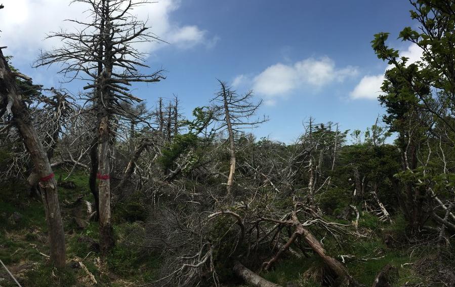 济州岛的生活日常,济州岛消费准备什么