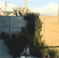 千万不要点开原声是什么梗,千万不要点开原声好吗