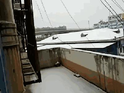 运城雪景有多美,山西省运城市第一场雪