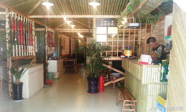 新疆野鹅自驾游视频,野鹅圣诞节自驾游