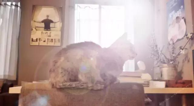 中国背包十年青年旅舍有几家,旅游青年旅舍推荐