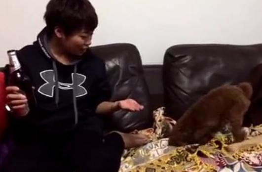 男子给小狗狗喝酒，狗狗的动作堪比济公！