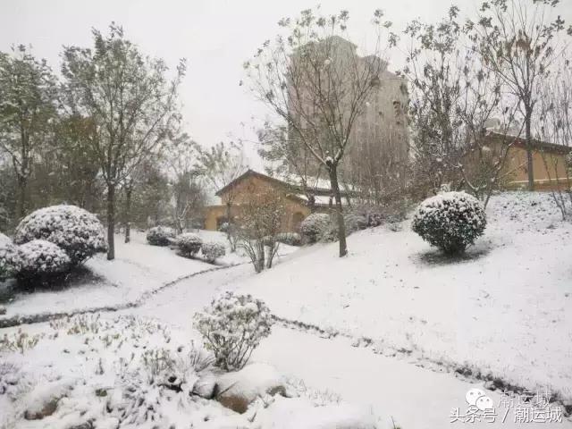 运城雪景有多美,山西省运城市第一场雪