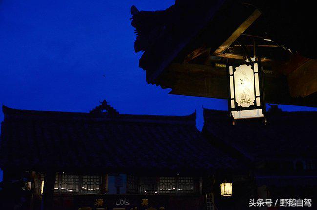 新疆野鹅自驾游视频,野鹅圣诞节自驾游