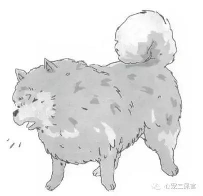 14岁的狗狗成天咳是什么原因,狗狗一直咳嗽还咳出血怎么回事