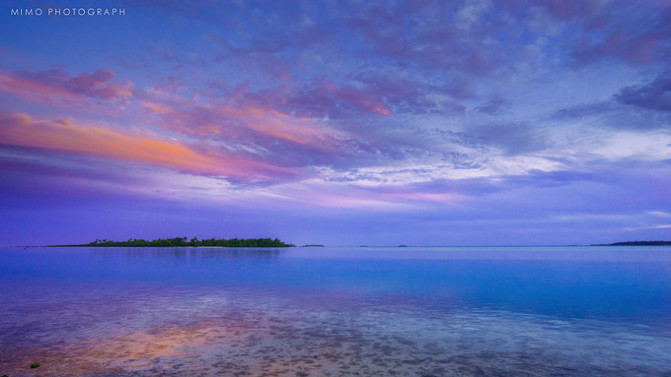 库克，上帝最秘密的存在