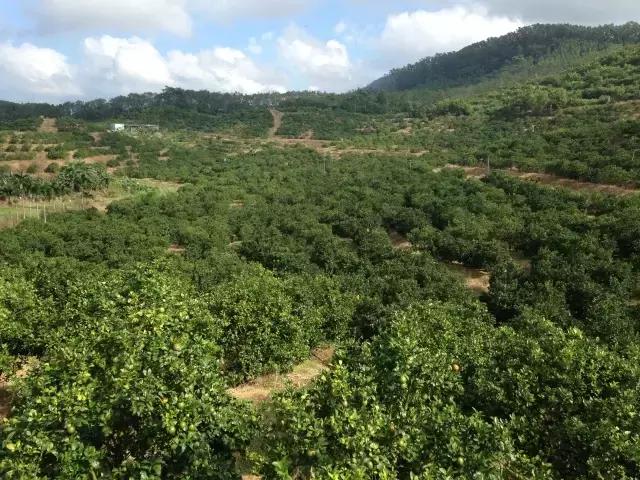 缁挎鏃呰,骞垮窞缁挎鏃呮父