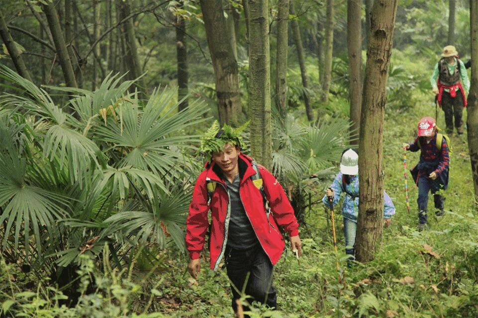 成都户外徒步去哪里,成都周末徒步亲近大自然