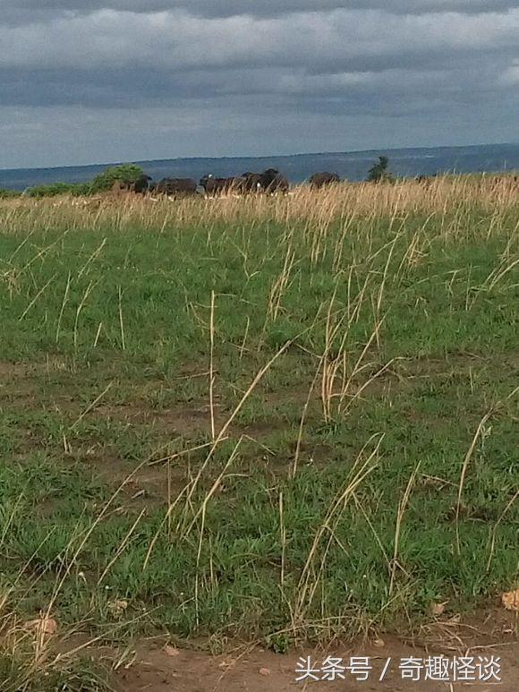 我在非洲工作的日子，给大家介绍下非洲的风土人情