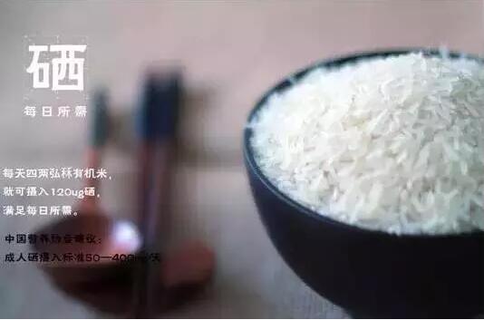 那些五花八门的“概念米”真的好吗？