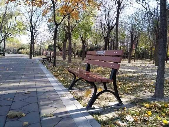 全面升级nubiaZ11miniS或许是最好的一代小牛