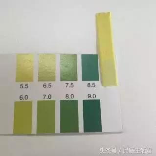 牙膏届的网红款到底怎么样?11款评测给你看