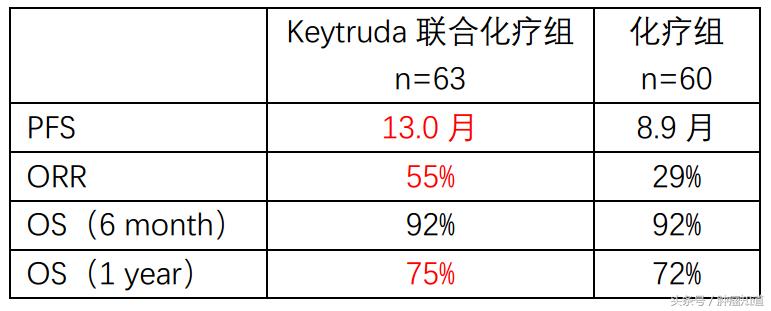 keytruda治疗小细胞肺癌,keytruda放化疗非小细胞肺癌