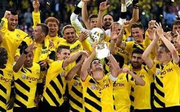 蜂王回归完整版视频,蜂王降世