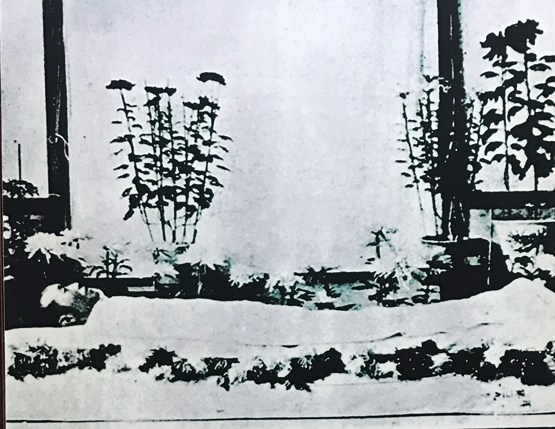 蔡锷将军九狮指挥刀,蔡锷护国刀