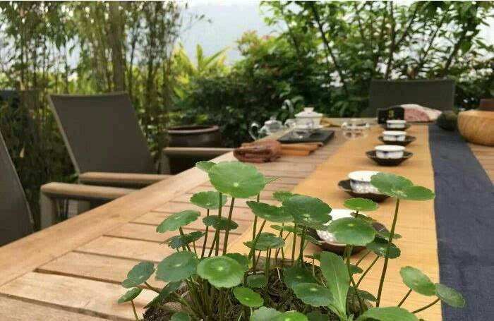 值得推荐的下午茶好去处,周末吃茶好地方