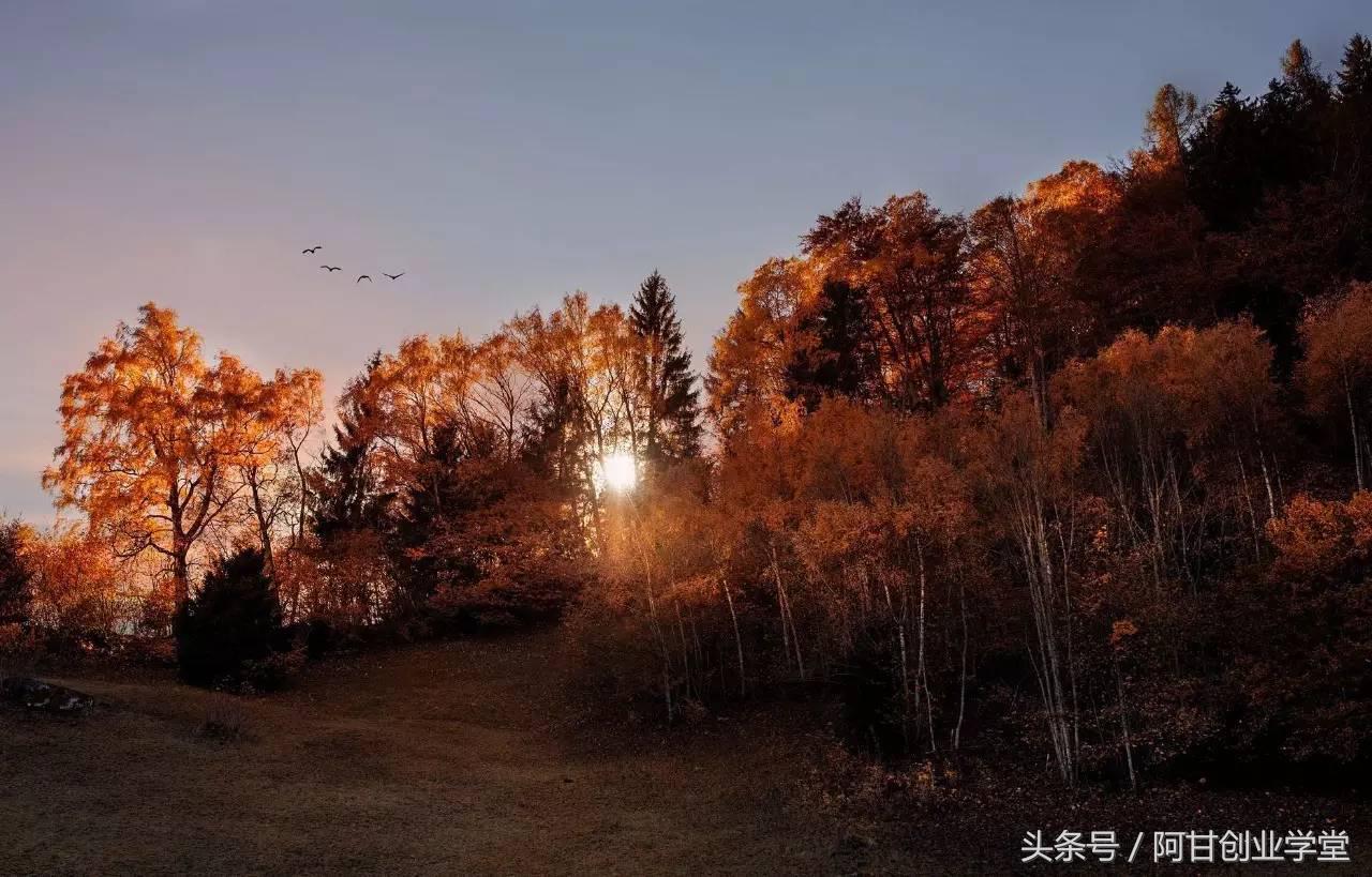 哀鸿遍野安身立命,哀鸿遍野出自哪篇文章