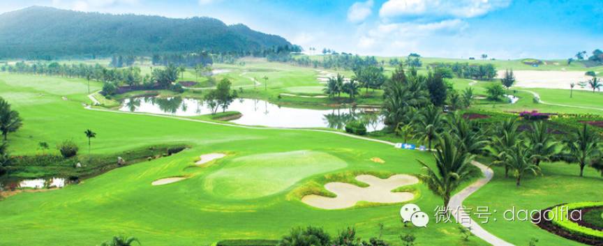 高尔夫球优惠活动,高尔夫挥杆练习场团购