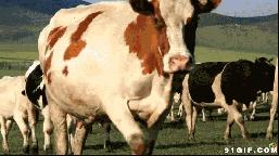 把自己当小孩来照顾,把自己当成宝宝一样