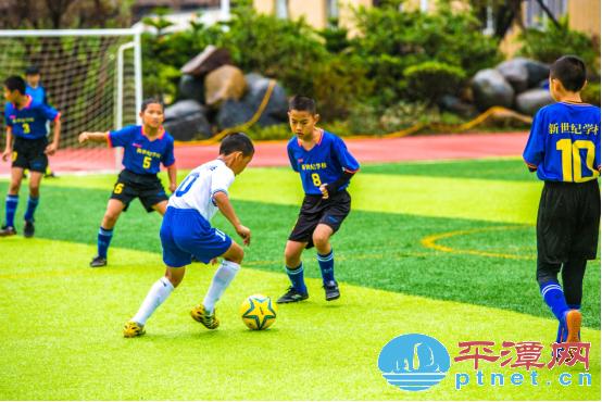 小学校园足球七人制比赛,思明区小学五人制足球赛