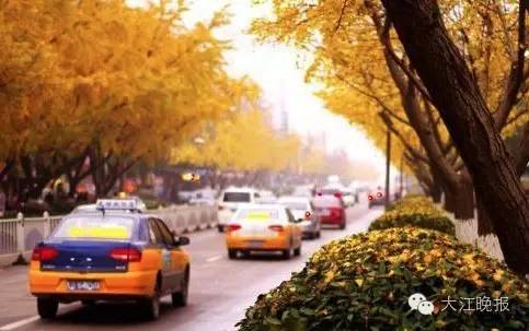 「围观」赶紧去九华山路看看吧！别人早就去过了！