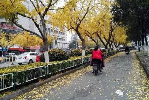 「围观」赶紧去九华山路看看吧！别人早就去过了！