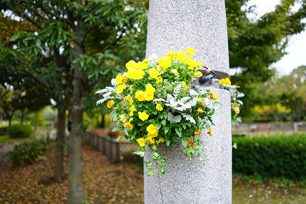 索尼fe70-2002.8,索尼fe35mmf2.8价格