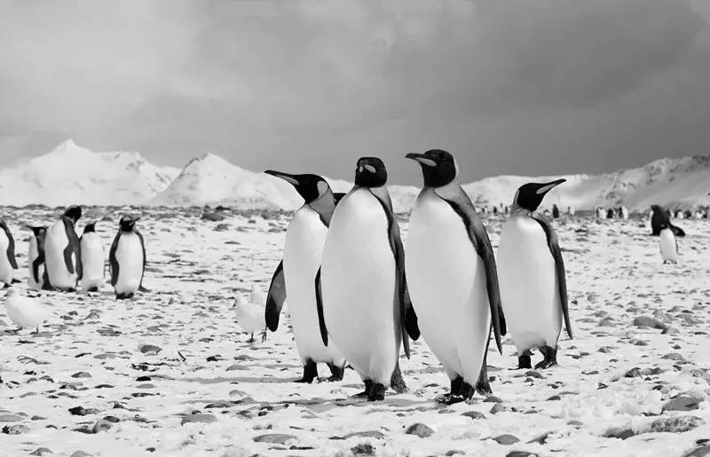 每天给你带来精彩的好书推荐,推荐一本有价值的好书