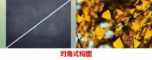 成都西部银杏第一村 (成都市周边哪里的银杏最多最美)