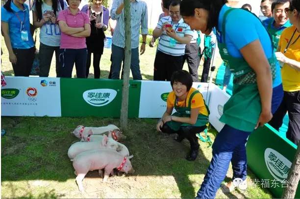 你只知道这家世界五百强的央企来东台投资，其实奥运冠军的食品也是他们提供的！