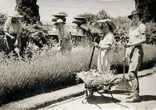 「花园集分享」野风系澳大利亚园林景观设计简析