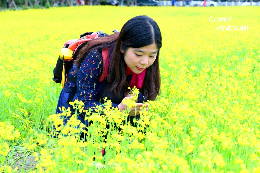 垦丁到花莲旅游攻略一日游,垦丁到高雄一日游攻略路线