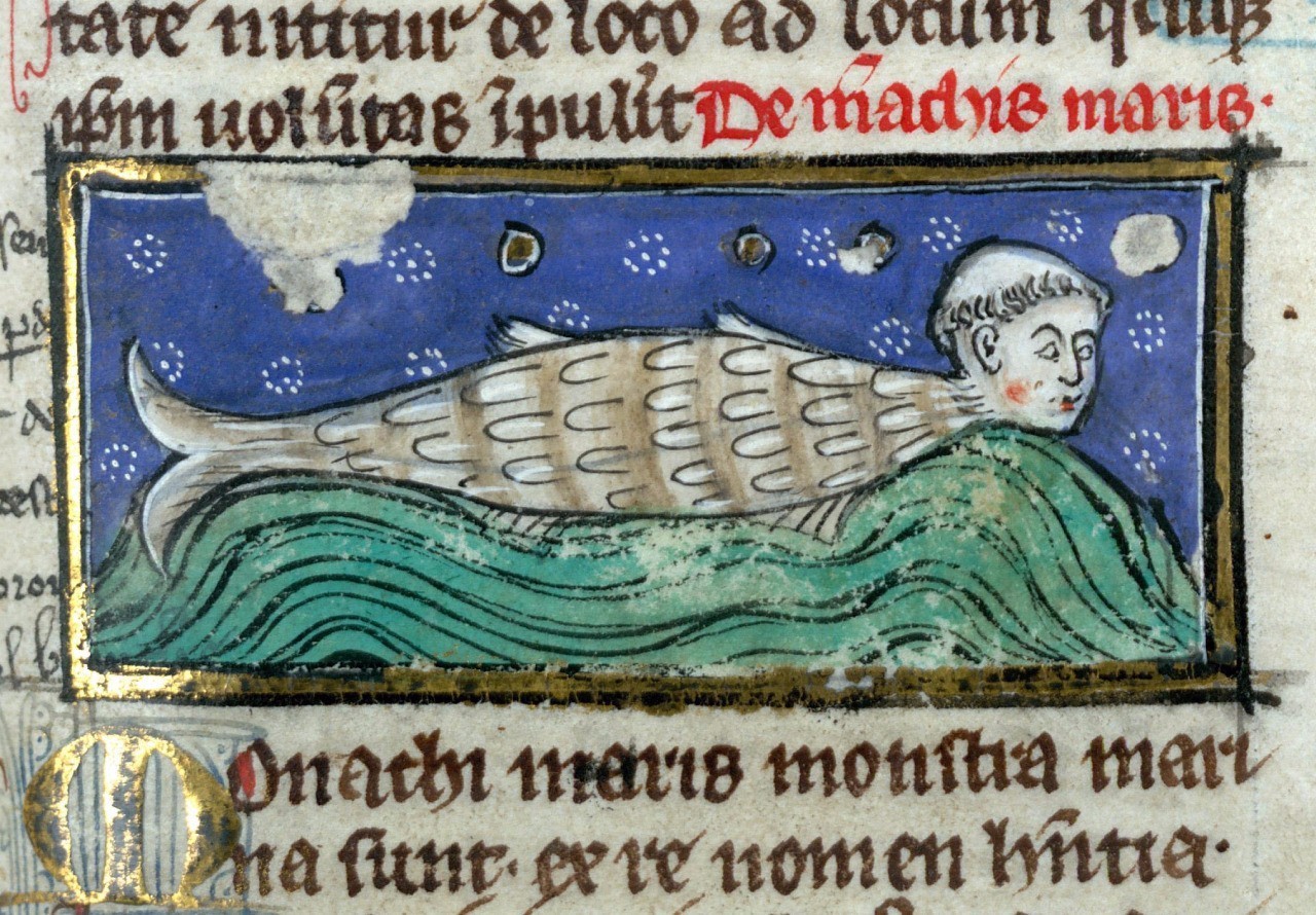 海妖恐怖故事,关于海怪的恐怖传说