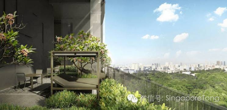 萝卜评价世界杯,萝卜评价丁俊晖