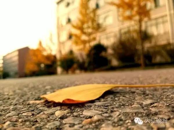 「围观」赶紧去九华山路看看吧！别人早就去过了！