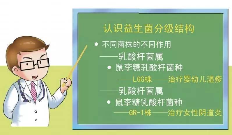 益生菌选对用好不易，酸奶、益生元别弄混