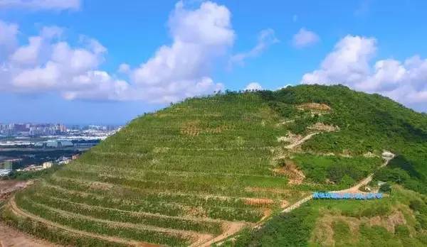 「头条」大咖在三亚实地走访、体验、调研的七条路线，都在这了！