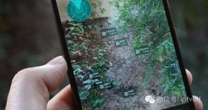 「朝花夕拾」1117｜重庆IPTV用户同比增长140.3%；贵州广电网络IPO16日获批