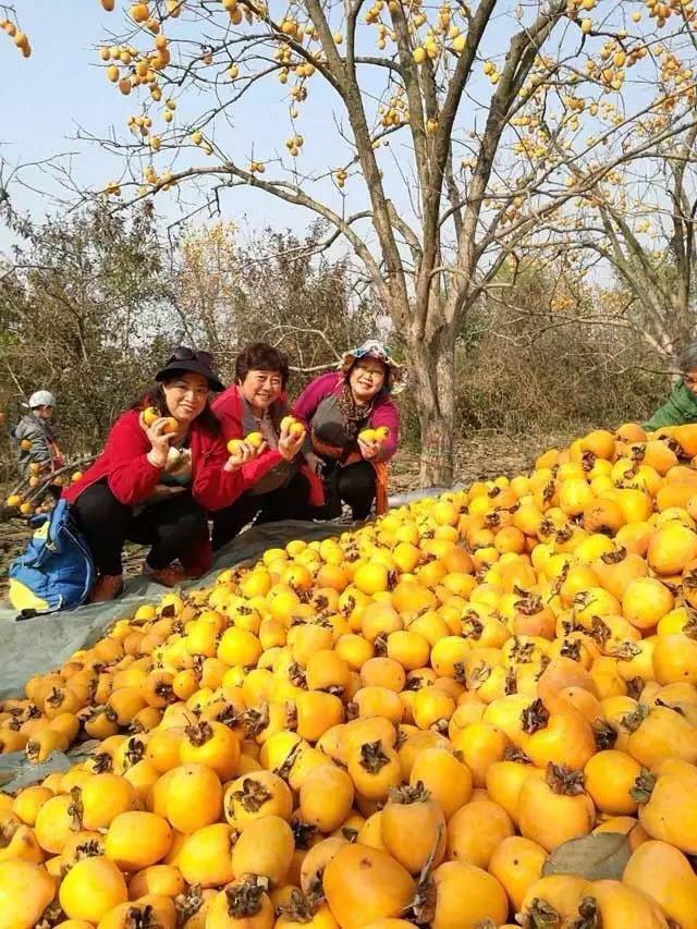 青威烟荣城际,青威烟荣城际高铁