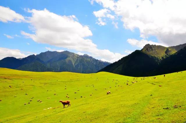 11月机票白菜价错峰出游正当时,重庆4月特价机票