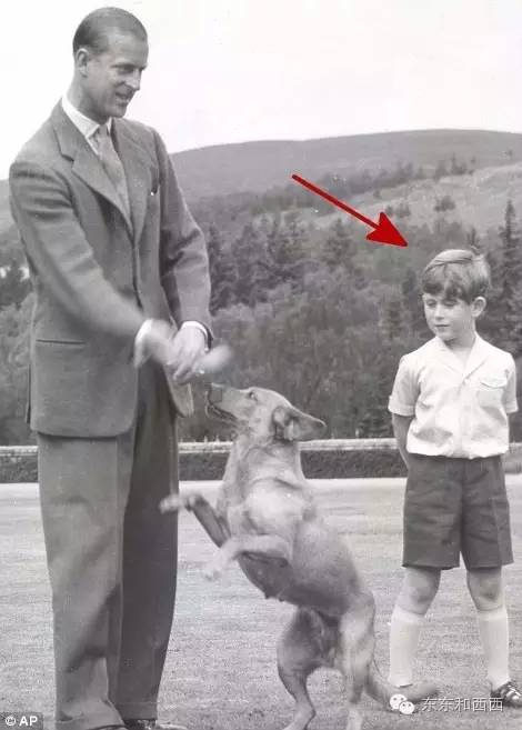 这姑娘太阳光，她照亮了英国王室