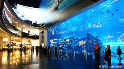 关于迪拜你不知道的15件事,迪拜你不知道的事儿